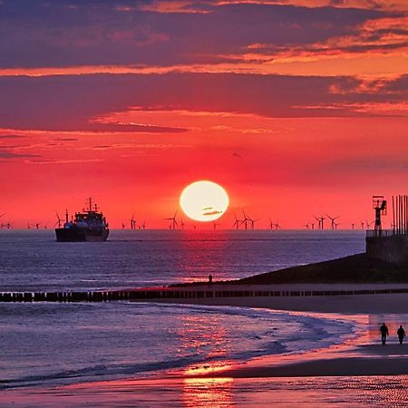 Westerschelde B&B Vlissingen Dış mekan fotoğraf