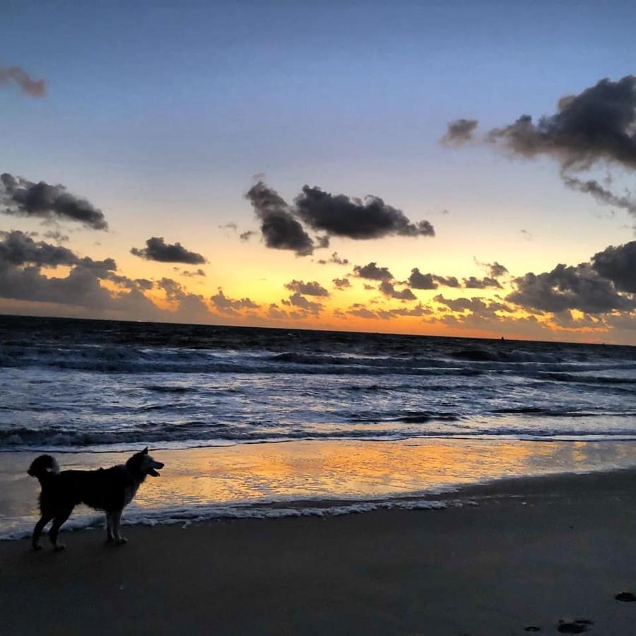 Westerschelde B&B Vlissingen Dış mekan fotoğraf